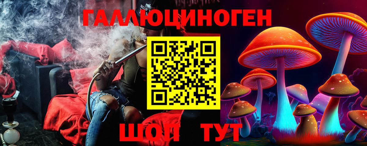 Черемхово  Галлюциногенные грибы прущие грибы  Вход с VPN 