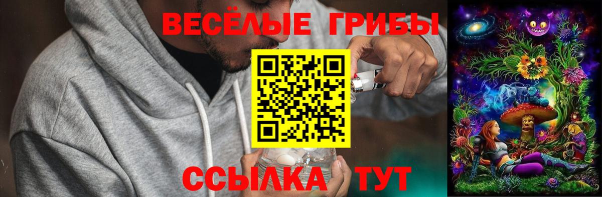 Галлюциногенные грибы мицелий Черемхово